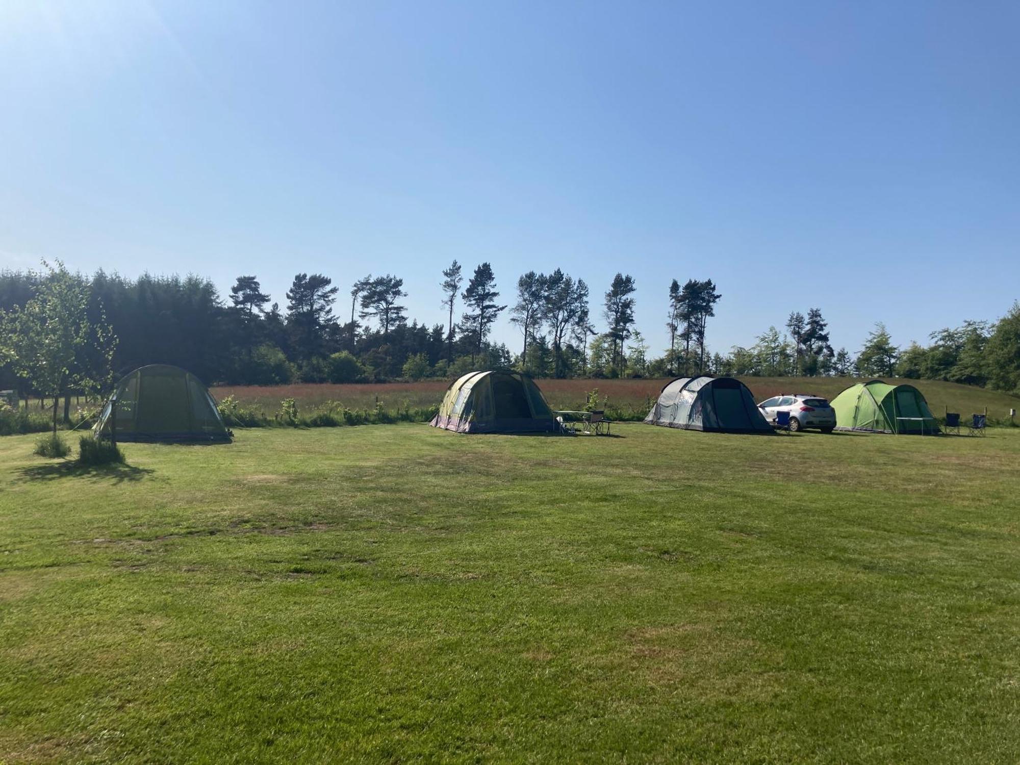 Hotel Bank Top Camping-North York Moors With Pitches For Caravans, Camper Vans And Tents Pickering Exterior foto
